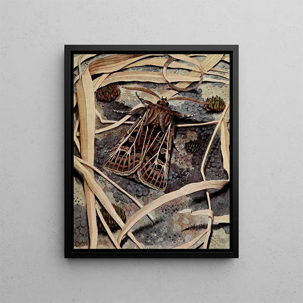 La Nasse - Paul-André Robert — framed artwork on a wall