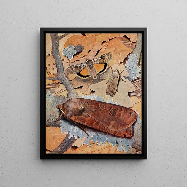 La Noctuelle Fiancée - Paul-André Robert — framed artwork on a wall