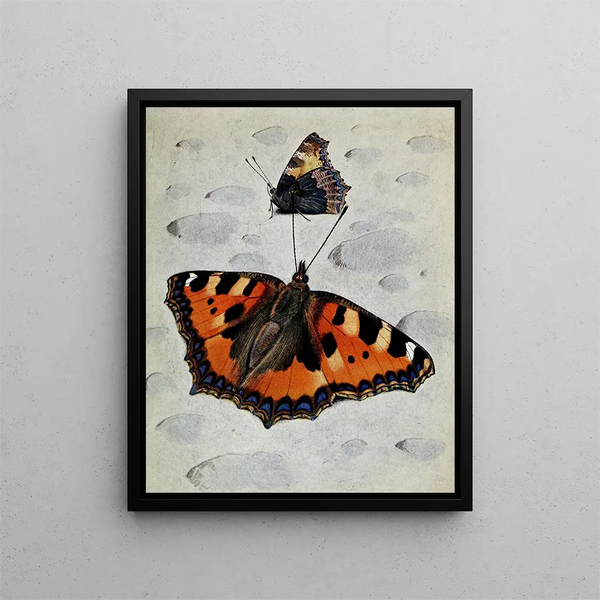 La Petite Tortue - Paul-André Robert — framed artwork on a wall