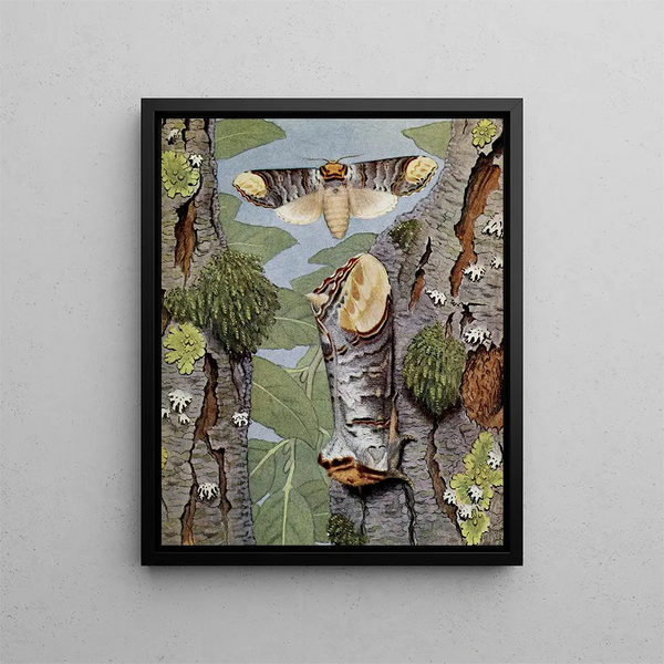 La Phalère Bucéphale - Paul-André Robert — framed artwork on a wall