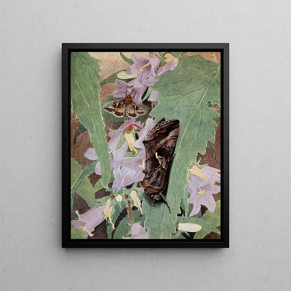 La Plusie Gamma - Paul-André Robert — framed artwork on a wall