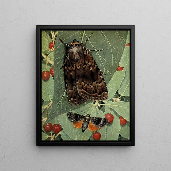 La Pyramide - Paul-André Robert — framed artwork on a wall