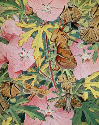 PaulAndre Robert - La Sylvine.webp