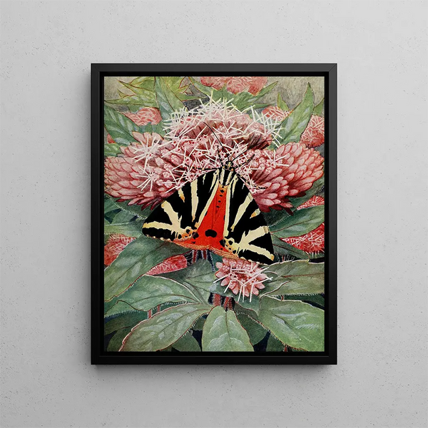 L'Écaille Chinoise - Paul-André Robert — framed artwork on a wall