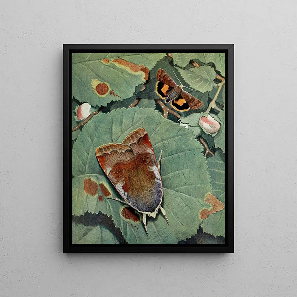 The Helmet - Paul-André Robert — framed artwork on a wall