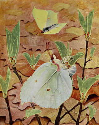 PaulAndre Robert - Le Citron.webp