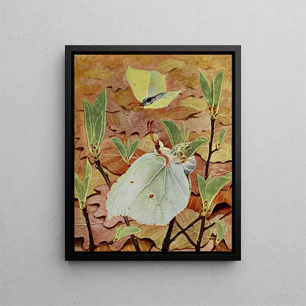 The Lemon - Paul-André Robert — framed artwork on a wall