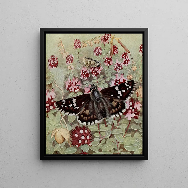 The Player's Checkerboard - Paul-André Robert — framed artwork on a wall