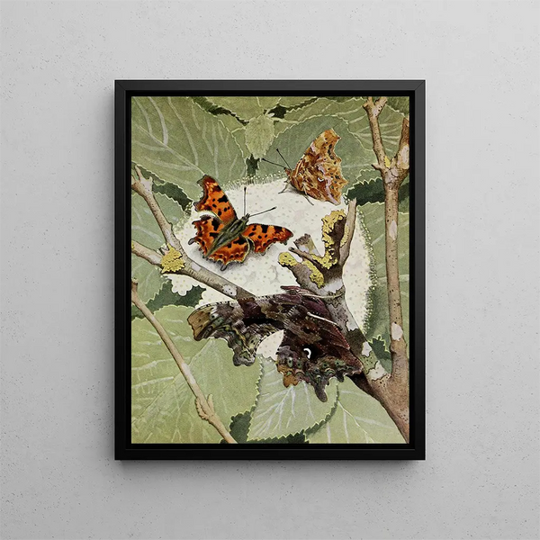Le Gamma - Paul-André Robert — framed artwork on a wall
