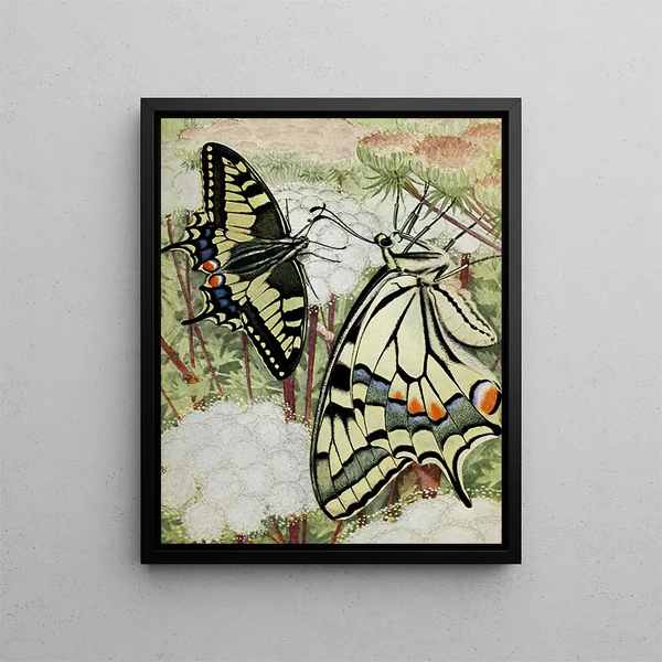 The Swallowtail - Paul-André Robert — framed artwork on a wall