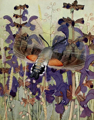 PaulAndre Robert - Le MoroSphinx.webp