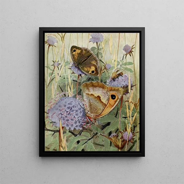 Le Myrtil - Paul-André Robert — framed artwork on a wall