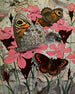 Le Némusien - Paul-André Robert — artwork view
