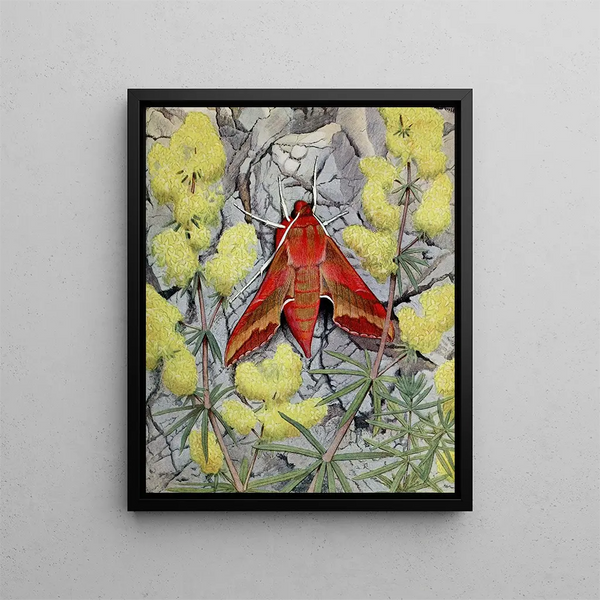 Le Petit Pourceau - Paul-André Robert — framed artwork on a wall