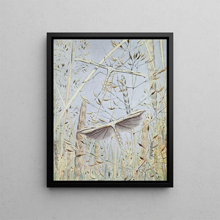 PaulAndre Robert - Le Ptrophore Ptrodactyle.webp