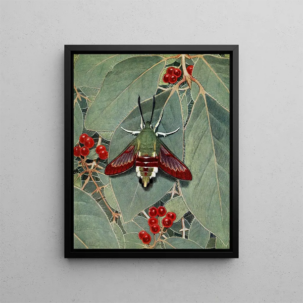 The Sphinx-Gazé - Paul-André Robert — framed artwork on a wall