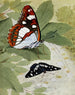 The Sylvain Azure - Paul-André Robert — artwork view