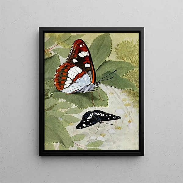 The Sylvain Azure - Paul-André Robert — framed artwork on a wall