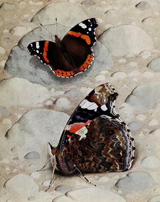 PaulAndre Robert - Le Vulcain.webp