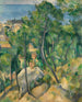 View of the Sea at L'Estaque - Paul Cézanne — artwork view