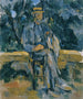 Portrait of a Peasant - Paul Cézanne — artwork view