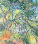Forest Underbrush - Paul Cézanne — artwork view
