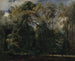 Les Ormes de Saint-Cloud - Paul Huet — artwork view
