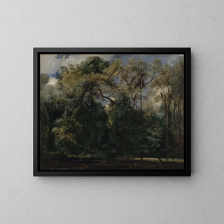 Les Ormes de Saint-Cloud - Paul Huet — framed artwork on a wall