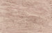 Colony of Sand - Paul Klee — artwork view