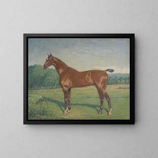 depicting a horse - Paul Lemore — framed artwork on a wall