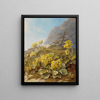 Pauline HalmFlechner - Primula auricula Cowslips.webp