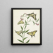 Four butterflies on flowers - Paulus Knogh — framed artwork on a wall