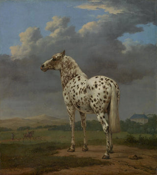 Paulus Potter - The Piebald Horse.webp