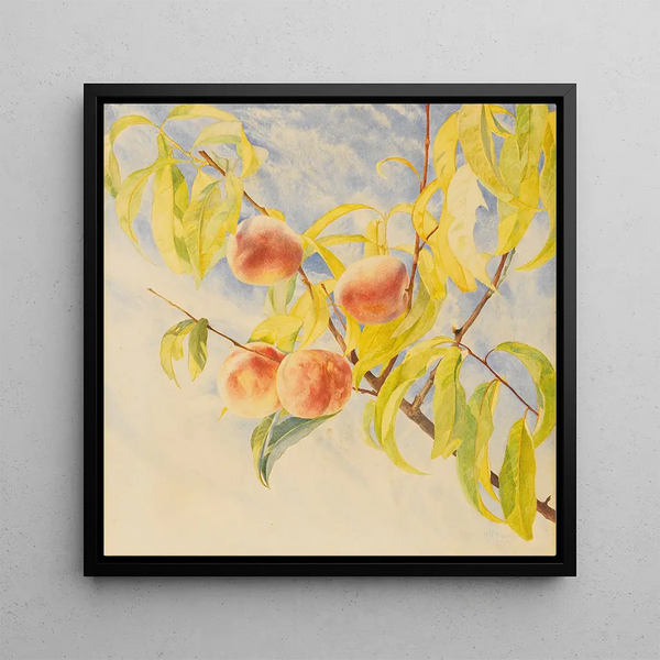 Peaches - Henry Roderick Newman — framed artwork on a wall