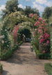 In the Garden - Peder Mønsted — artwork view