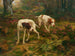 Two pointers and a hare - Percival Leonard Rosseau — artwork view
