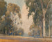 Eucalyptus - Percy Gray — artwork view