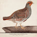 Gray Partridge Painting - Magnus Von Wright — artwork view