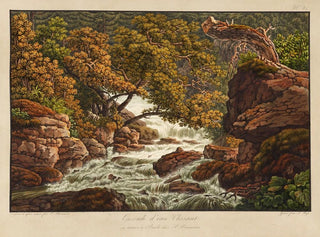 Waterfall Painting Chéret - Peter Birmann — artwork view