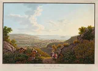 Environs of Lake Bienne - Peter Birmann — artwork view
