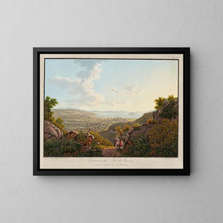 Environs of Lake Bienne - Peter Birmann — framed artwork on a wall
