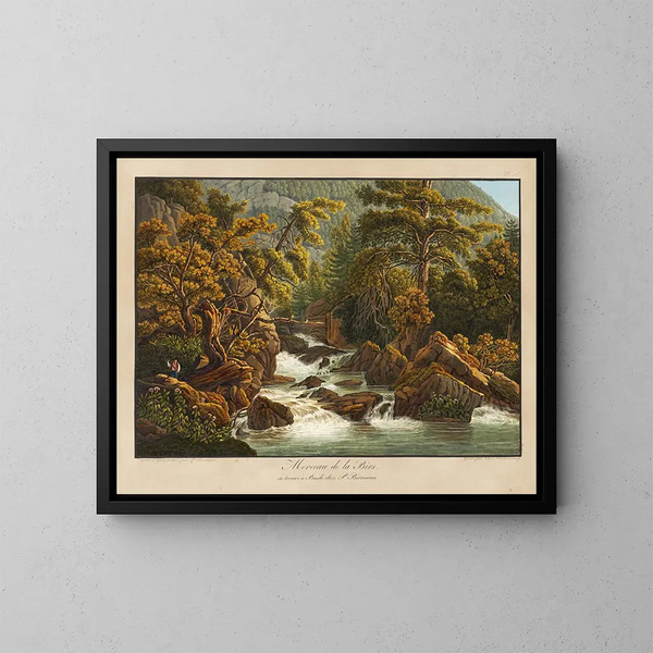 Morceau de la Birs - Peter Birmann — framed artwork on a wall