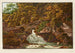 Torrent de l'Ibech - Peter Birmann — artwork view