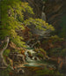Cascade in the Münster Valley - Peter Birmann — artwork view