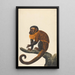 A Capuchin - Peter Paillou the Younger — framed artwork on a wall
