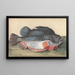 Lompe - Peter Paillou the Younger — framed artwork on a wall