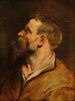 Tête d'homme barbu - Peter Paul Rubens — artwork view