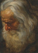 Study of an Old Bearded Man - Peter Paul Rubens — artwork view