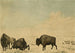Bison Hunt Painting - Peter Rindisbacher — artwork view