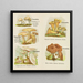 Petit atlas des champignons Pl5 - Delachaux Niestlé — framed artwork on a wall
